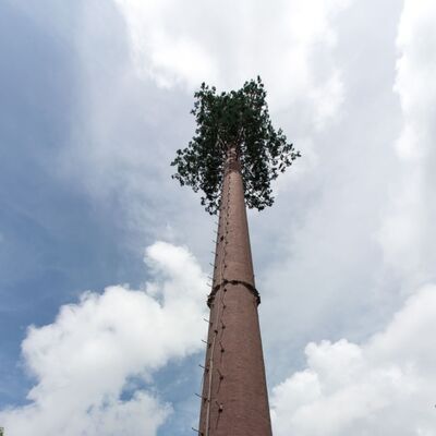 36M Bionic Tree Tower com troncos artificiais de fibra de vidro duráveis, ramos e folhas com plataformas ocultas para antenas 5G e sensores ambientais