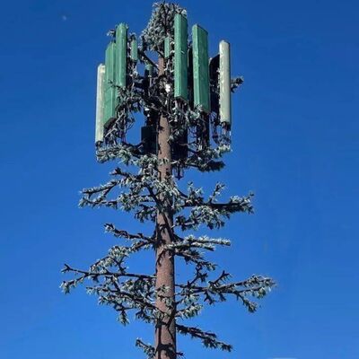 Bionic Tree Tower projeto modular com espécies de árvores personalizáveis e altura de suporte de antenas monta gestão de cabos e colheitas de energia renovável