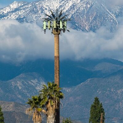 Torre de árvore biônica com componentes modulares personalizáveis para altura e espécie de árvore, para atender a vários requisitos de paisagismo