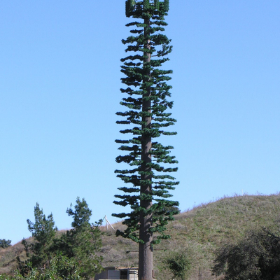 22 28 torre biônica galvanizada das telecomunicações da árvore do mergulho quente de 36 medidores camuflada para a área cênica do turista