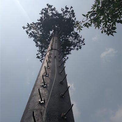 18 27 torre camuflada 35Meter das telecomunicações da palmeira para a paisagem do hotel de recurso