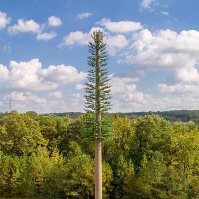 Torre de comunicação de camuflagem biônica de palmeira estilo tropical de 15-45 m para cobertura de sinal de resort costeiro Núcleo de aço galvanizado de 30 anos e folhas resistentes a UV