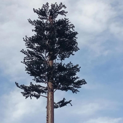 5 10 15 20 25 30 35 40 45 50 55 60 m metros de rádio antena de microondas mastro telecomunicações torres de telefone celular disfarçadas torre de árvore biônica