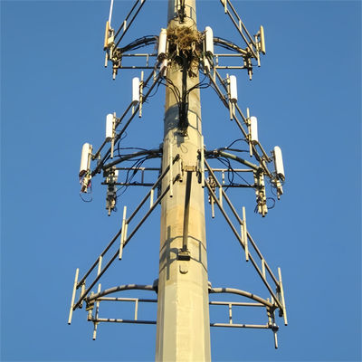 Preço autossustentável Wifi Telefone celular de longo alcance Plataforma de trabalho Microondas Antenna de aço Monopólio Torre