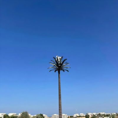Biônica Camuflada Torres de Células GSM Antenna Monopólio de Aço Telecom Torre Galvanização