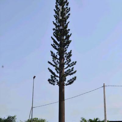 Biônica Camuflada Torres de Células GSM Antenna Monopólio de Aço Telecom Torre Galvanização