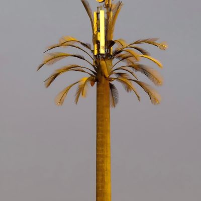 Palmeira de pólo camuflada Micro-falsa Torre de células Árvores 10 20 30 40 50 60 70 80 M