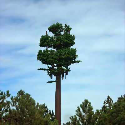 Palmeira de pólo camuflada Micro-falsa Torre de células Árvores 10 20 30 40 50 60 70 80 M