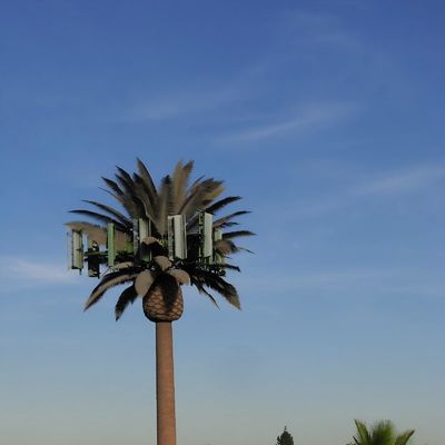 Aço Galvanizado Camuflagem Biônica de Tubos Únicos 5g Torres Árvore de Coco Telecom Palm Tree Pine Tree