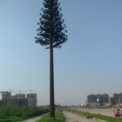 Aço Galvanizado Camuflagem Biônica de Tubos Únicos 5g Torres Árvore de Coco Telecom Palm Tree Pine Tree