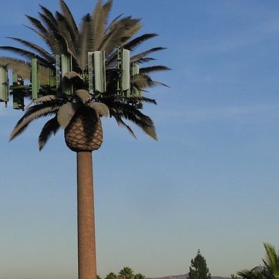 GSM Galvanizado Mobile Bionic Palm Tree Antenna Torre de Pólo Único 5g Torre Camuflagem