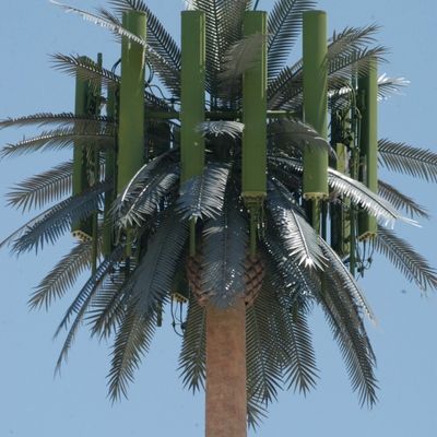 GSM Galvanizado Mobile Bionic Palm Tree Antenna Torre de Pólo Único 5g Torre Camuflagem