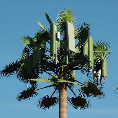 GSM Galvanizado Mobile Bionic Palm Tree Antenna Torre de Pólo Único 5g Torre Camuflagem