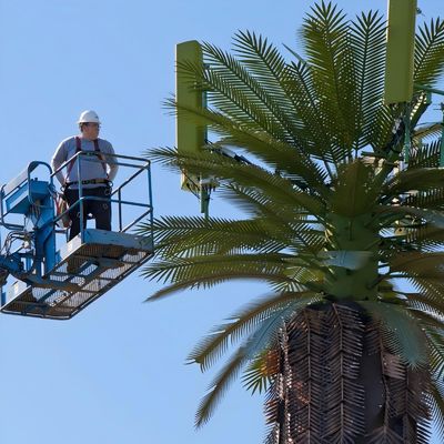 GSM Galvanizado Mobile Bionic Palm Tree Antenna Torre de Pólo Único 5g Torre Camuflagem