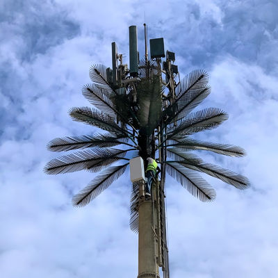 GSM Galvanizado Mobile Bionic Palm Tree Antenna Torre de Pólo Único 5g Torre Camuflagem
