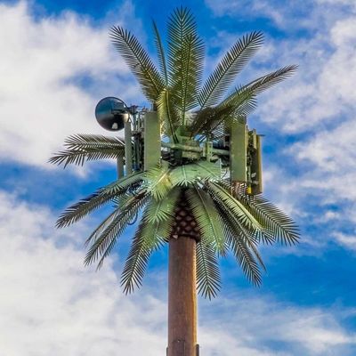 Personalização 20m-50m Comunicação Monopólio Árvore Artificial Torres de Células Telecom Palm Bionic Disfarce Torre de Pólos de Árvore