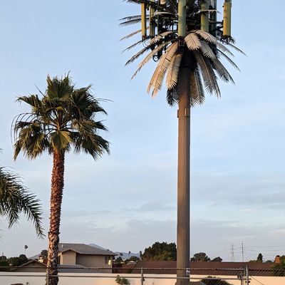 10 20 30 M Palmeira Árvore Falsa Torre Celular Camuflada Telecomunicações 5-80M