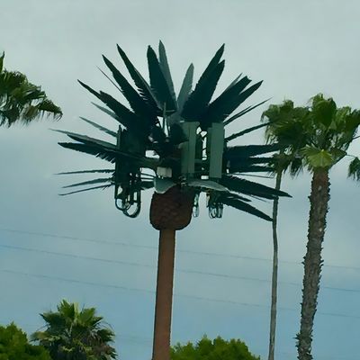 Torre de Monopólio de Telecomunicações Biônicas Galvanizadas / Torres de Células de Árvore Artificial