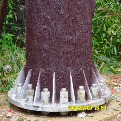 11 17 23M Park Landscape Bionic Tree Camuflado Galvanizado Autossustentável Exterior 5G 4G Mastro de Microondas