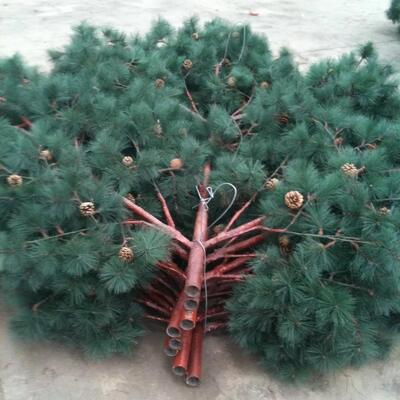 Torre Bionic Tree de 35M com altura personalizável e opções de espécies de árvores suportando antenas 5G, dispositivos de micro-ondas e sensores