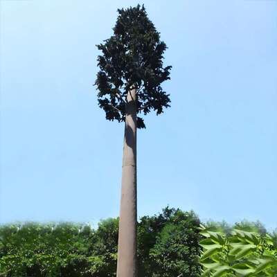 Bionic Tree Tower construção modular altura e espécies personalizáveis correspondendo à flora local para infraestrutura estética