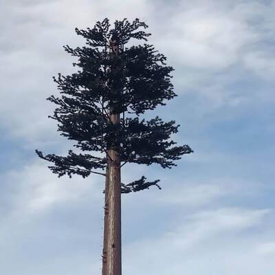Bionic Tree Tower estrutura de árvore artificial com projeto modular para telecomunicações e integração de sensores ambientais