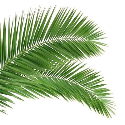 Torre de árvores biônicas com aparência de árvore com ramos e troncos de fibra de vidro para mistura perfeita da paisagem