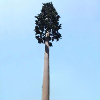 Resistência de impacto artificial da Torre Árvore Biônica KV 27 joules em várias temperaturas para confiabilidade estrutural