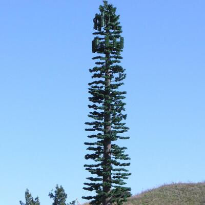 Bionic Tree Tower artificial tree tower impact strength KV 27 joules at various temperatures for structural reliability