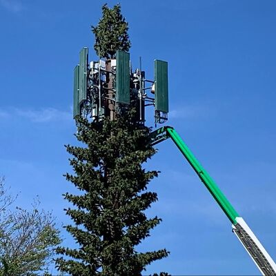 Resistência de impacto artificial da Torre Árvore Biônica KV 27 joules em várias temperaturas para confiabilidade estrutural
