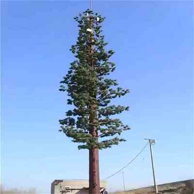 15 25 torre biônica feita sob encomenda do pinheiro 32Meter para a cobertura do sinal do parque da cidade 5G