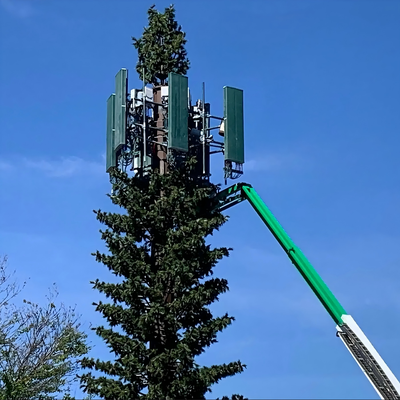 Torre biônica camuflada ecológica de pinheiro para rede sem fio 5G Integração estética Fábrica de mastro de comunicação de palmeira biônica